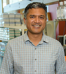 Deepta Bhattacharya, Ph.D. Principal Investigator